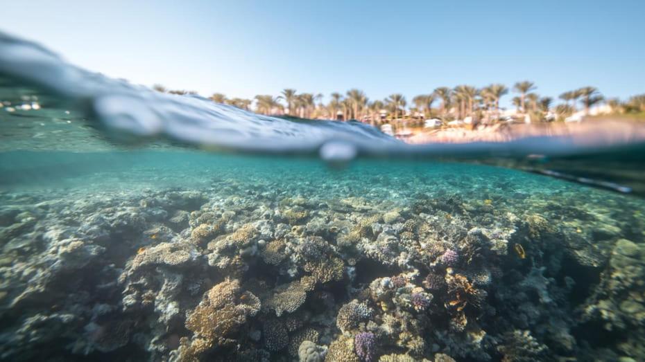 Four Seasons Resort Sharm El Sheikh Private Residential Villa & Chalet - Egypt Esterno foto